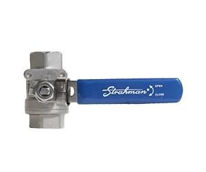 Nayagi-product-image